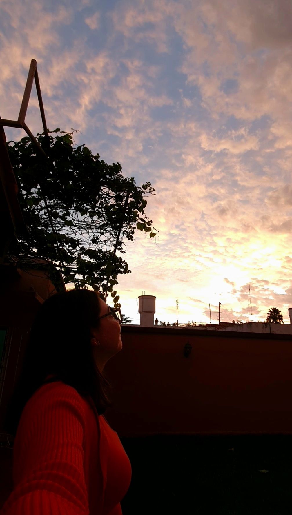 Semana 6: núcleo&nbsp;duro